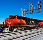 CN 2341